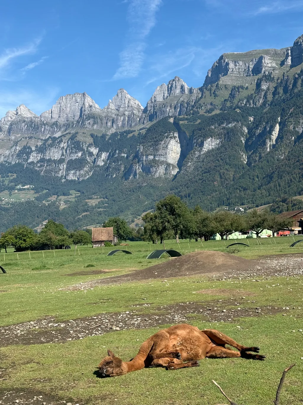 Bild von Pawel für den Spot 126