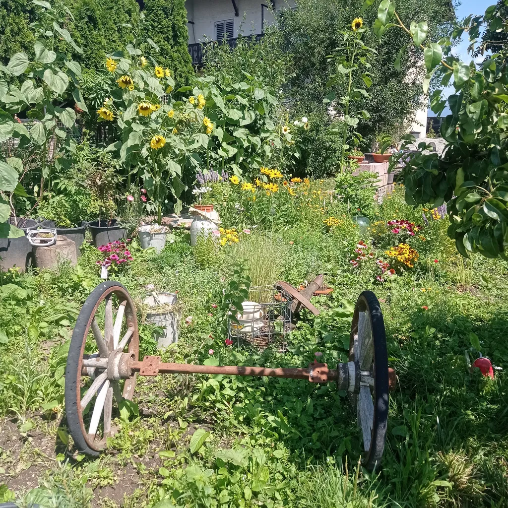 Wiesenstellplatz mit Aussicht