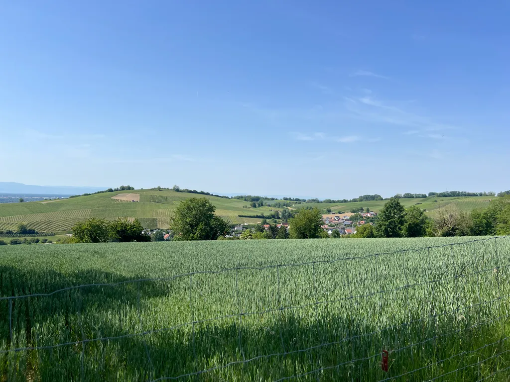 Bild von Claudio für den Spot 4127