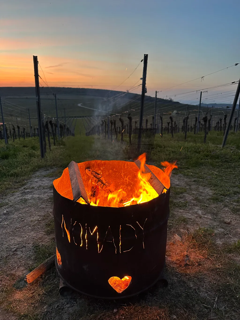 Camping im Weinberg auf dem Winzerhof