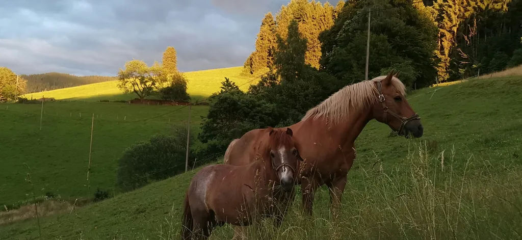 Idyllischer, sehr ruhiger, Platz bei Elli u Thomas
