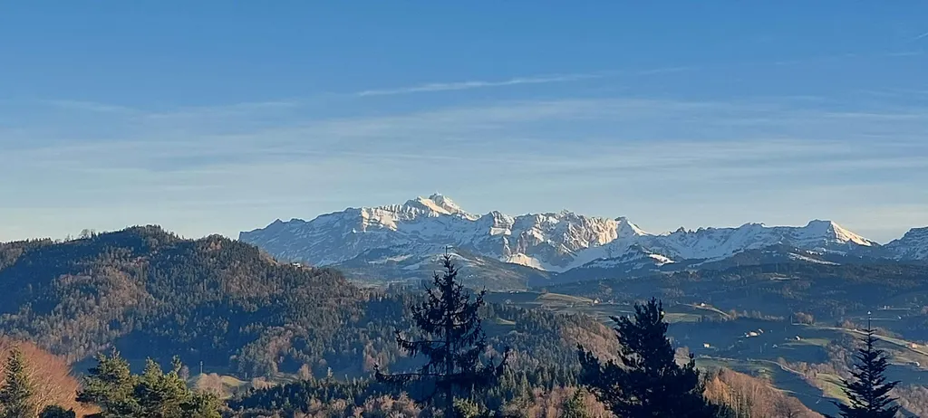 Säntisblick Sedelberg