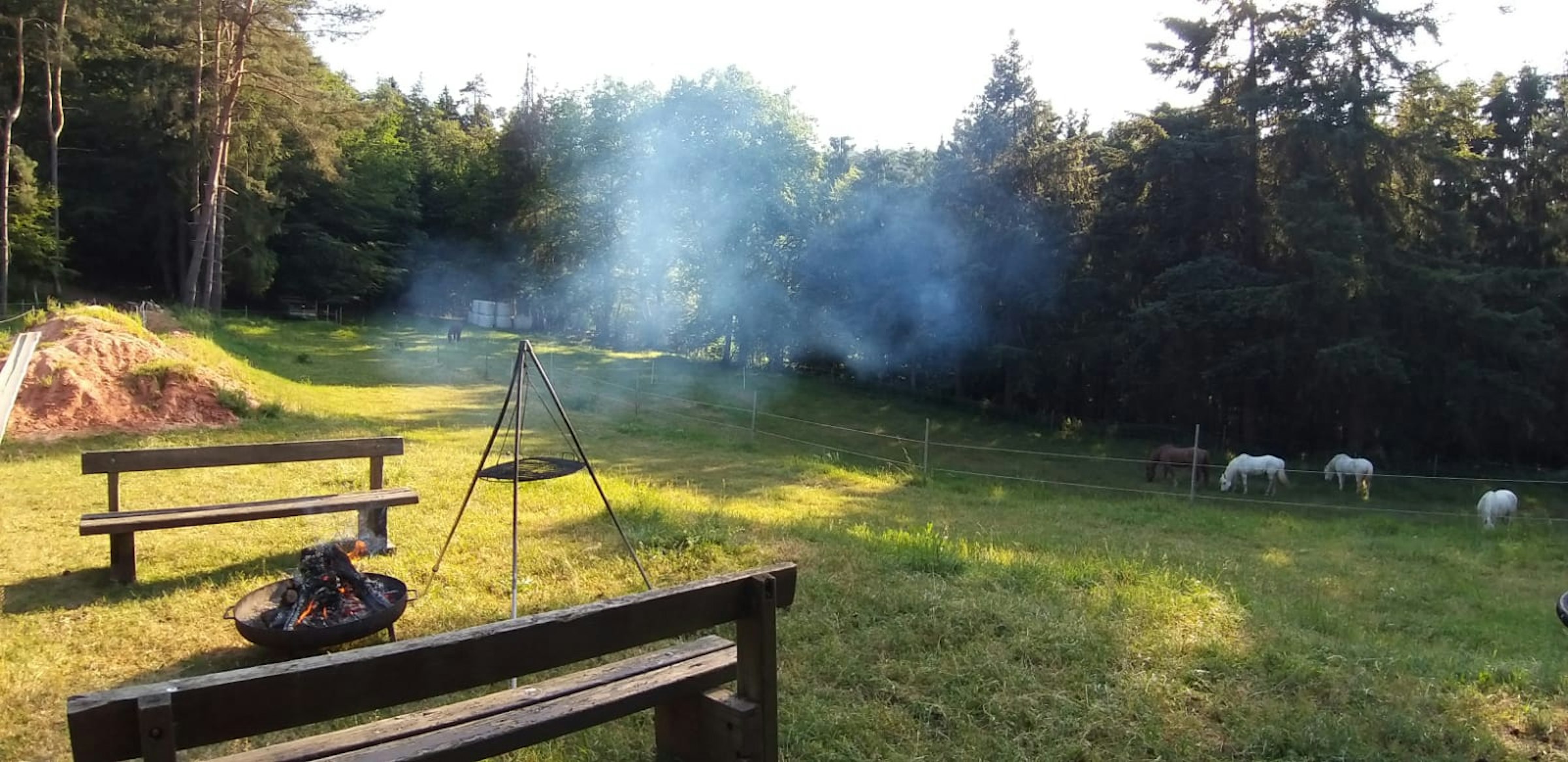 Im Herzen des Pfälzer Waldes