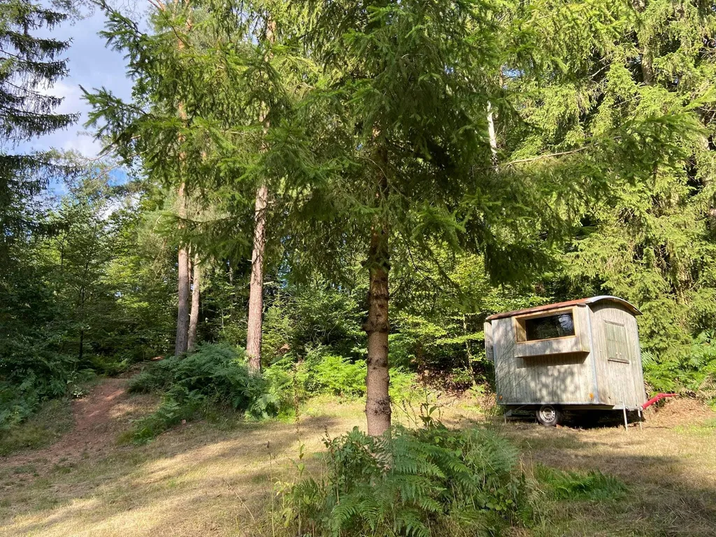 Schäferwagen Idylle im Pfälzer Wald