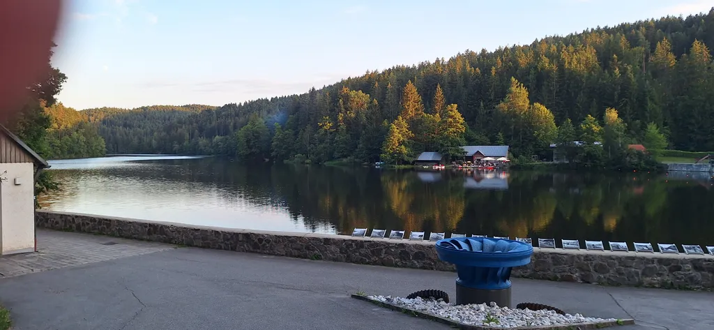Woid-Wiese mit Ausblick