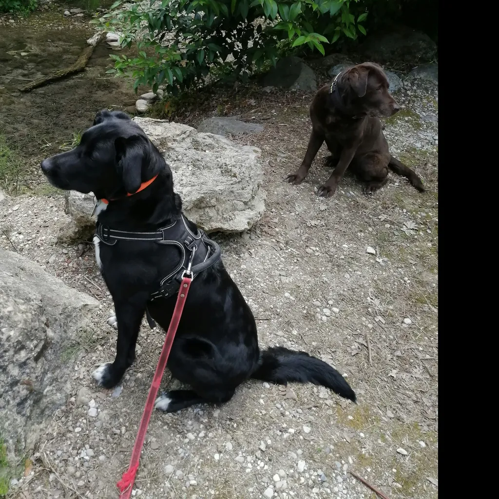 Foto del profilo di Vera