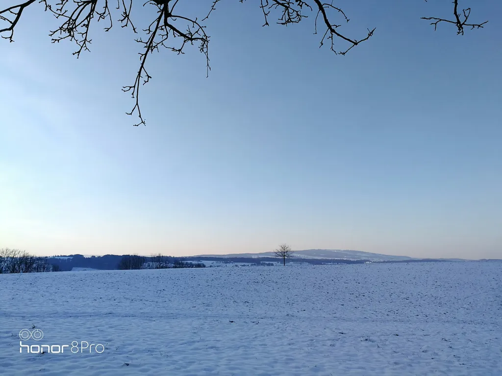 Beim alten Schürli