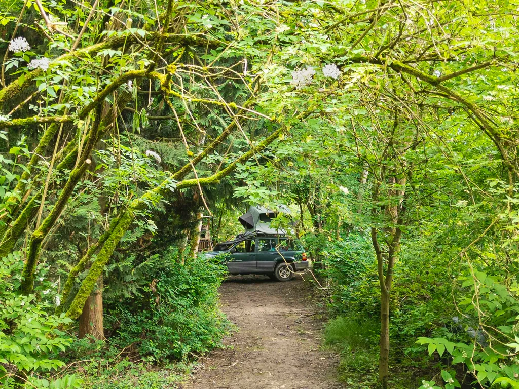 Waldgrundstück|Abenteuer|Survival