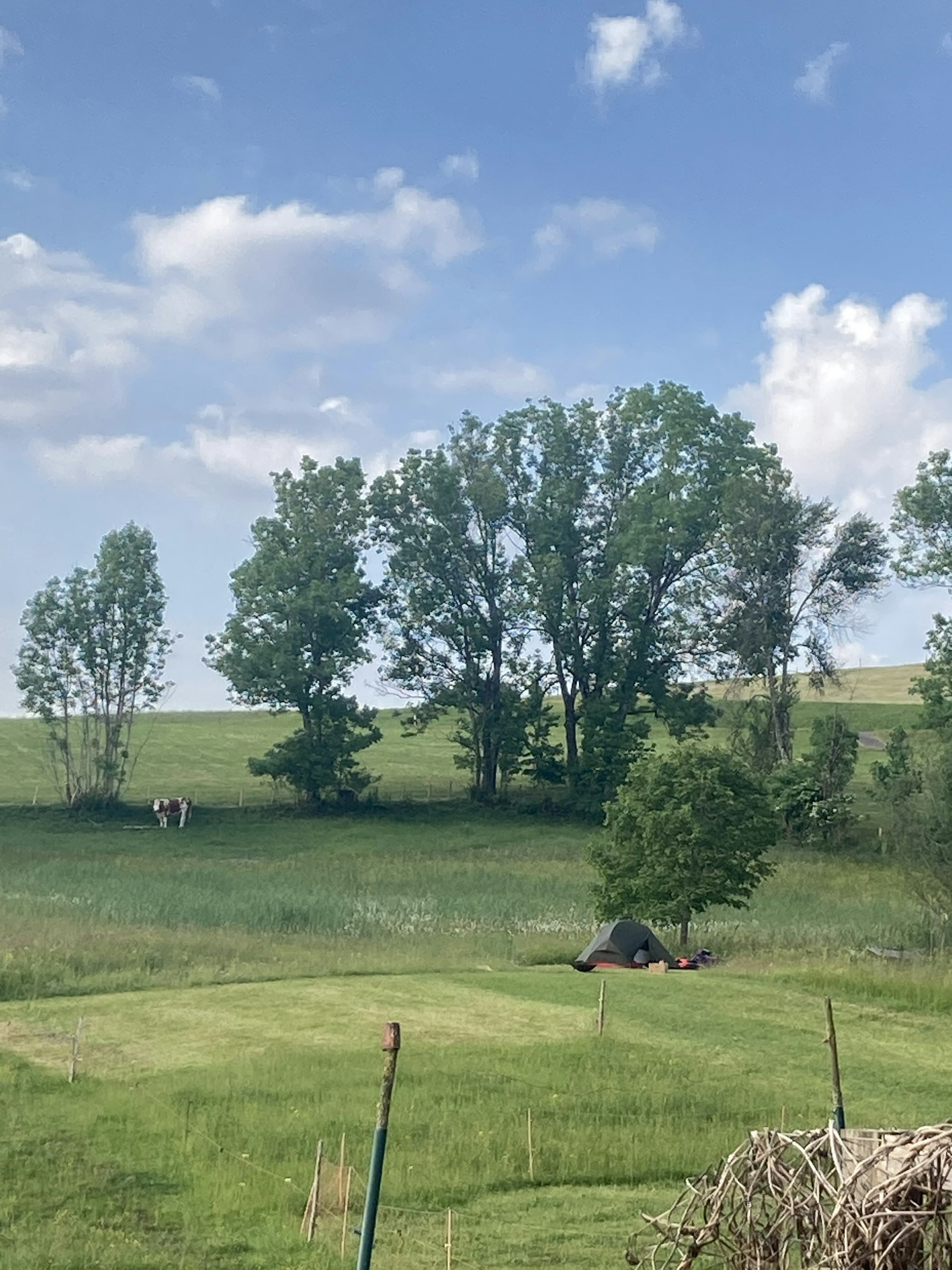 Zelten Bodensee - Königsseeradweg