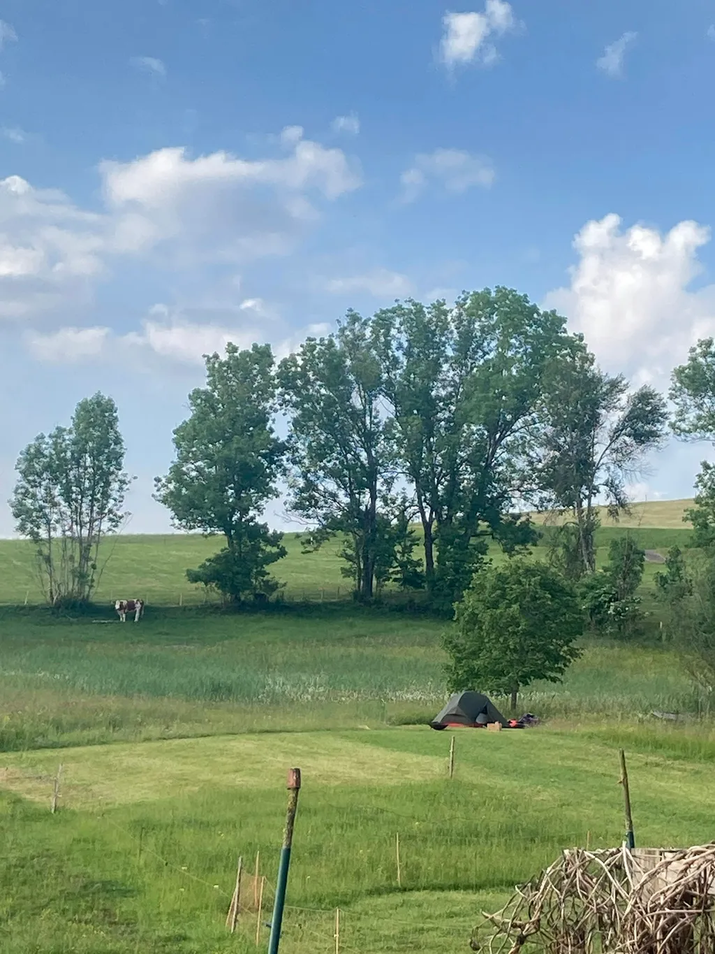 Zelten Bodensee - Königsseeradweg