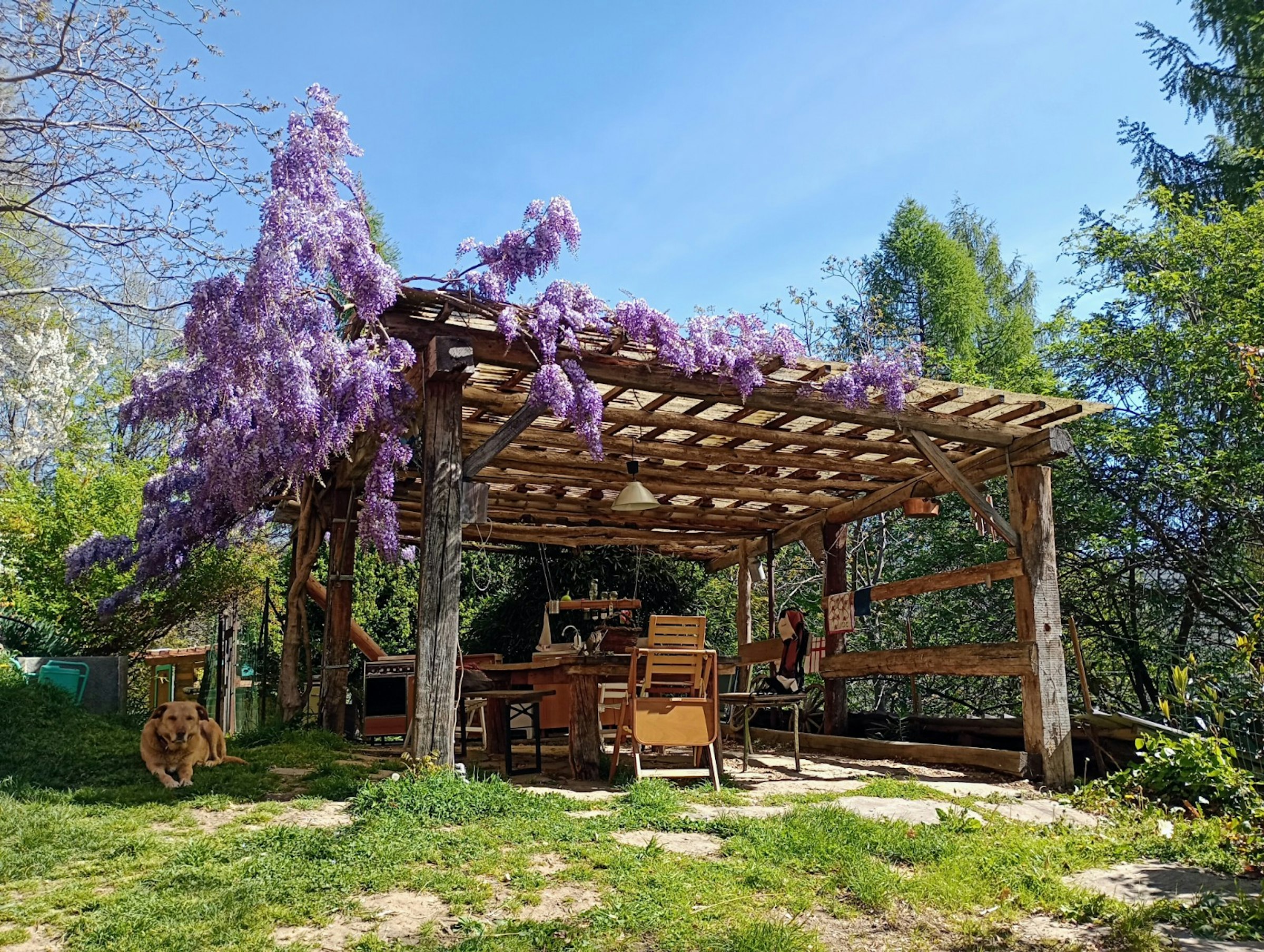 Camp in mezzo al bosco