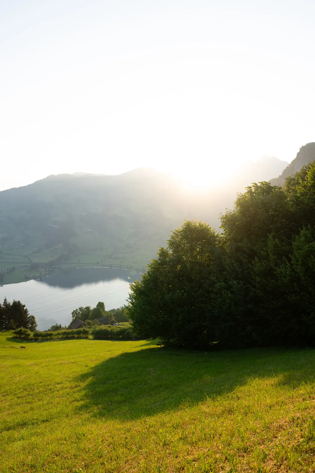 MONDHOLZ TINY HOUSE in purer Natur