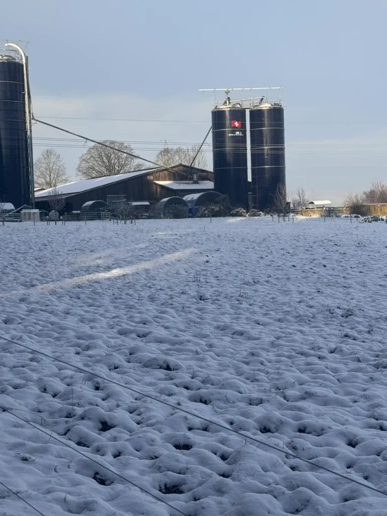 Unser Hof im Winter