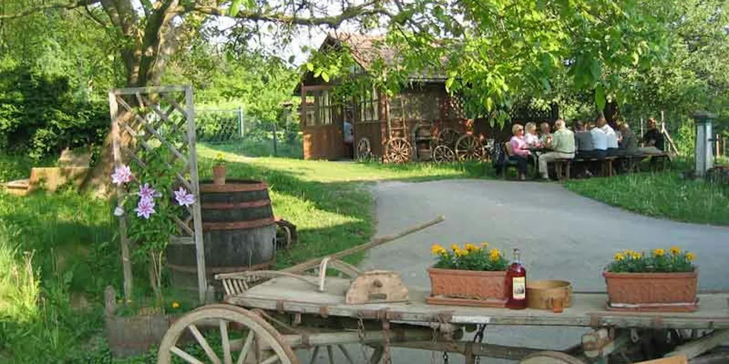BIO-Weingarten in der Steiermark