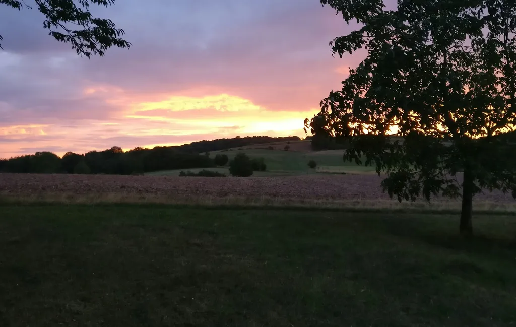 Blumenwiese mit Fernsicht im Naheland