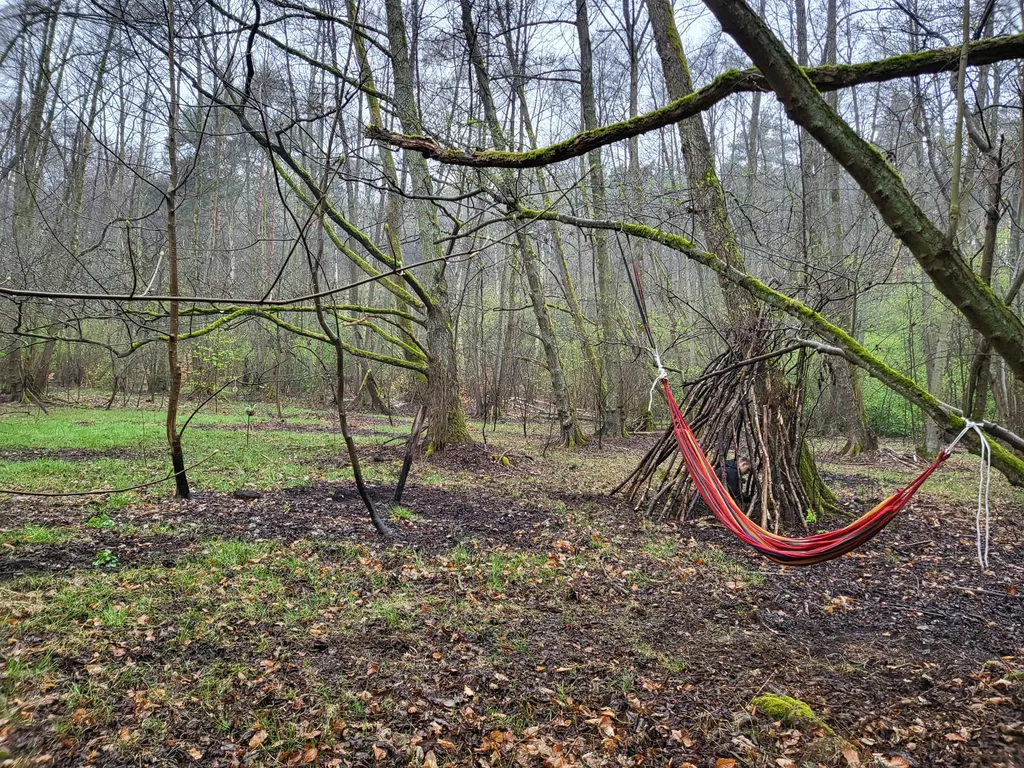 Waldübernachtung am Rande Potsdams
