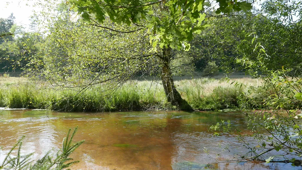 Parkähnliches Grundstück mit Sauna und Hottub