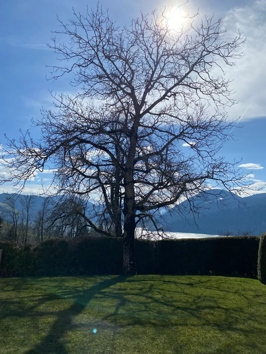 Seesicht und Alpenpanorama im Ägerital