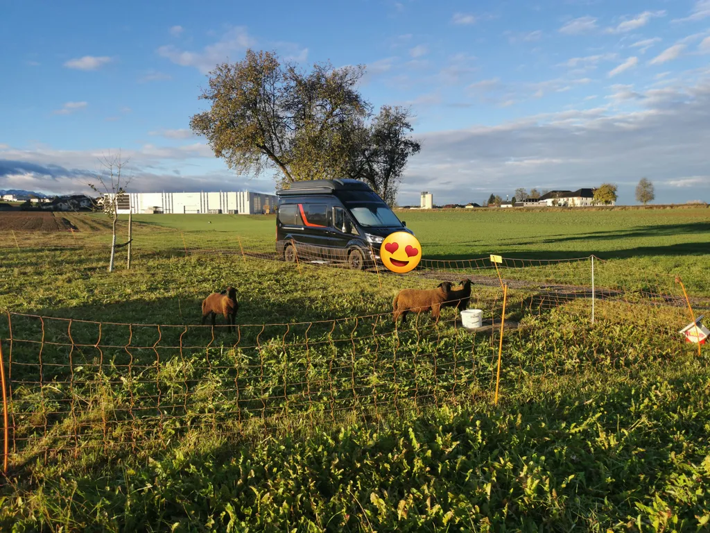 Bild von Sandra für den Spot 818