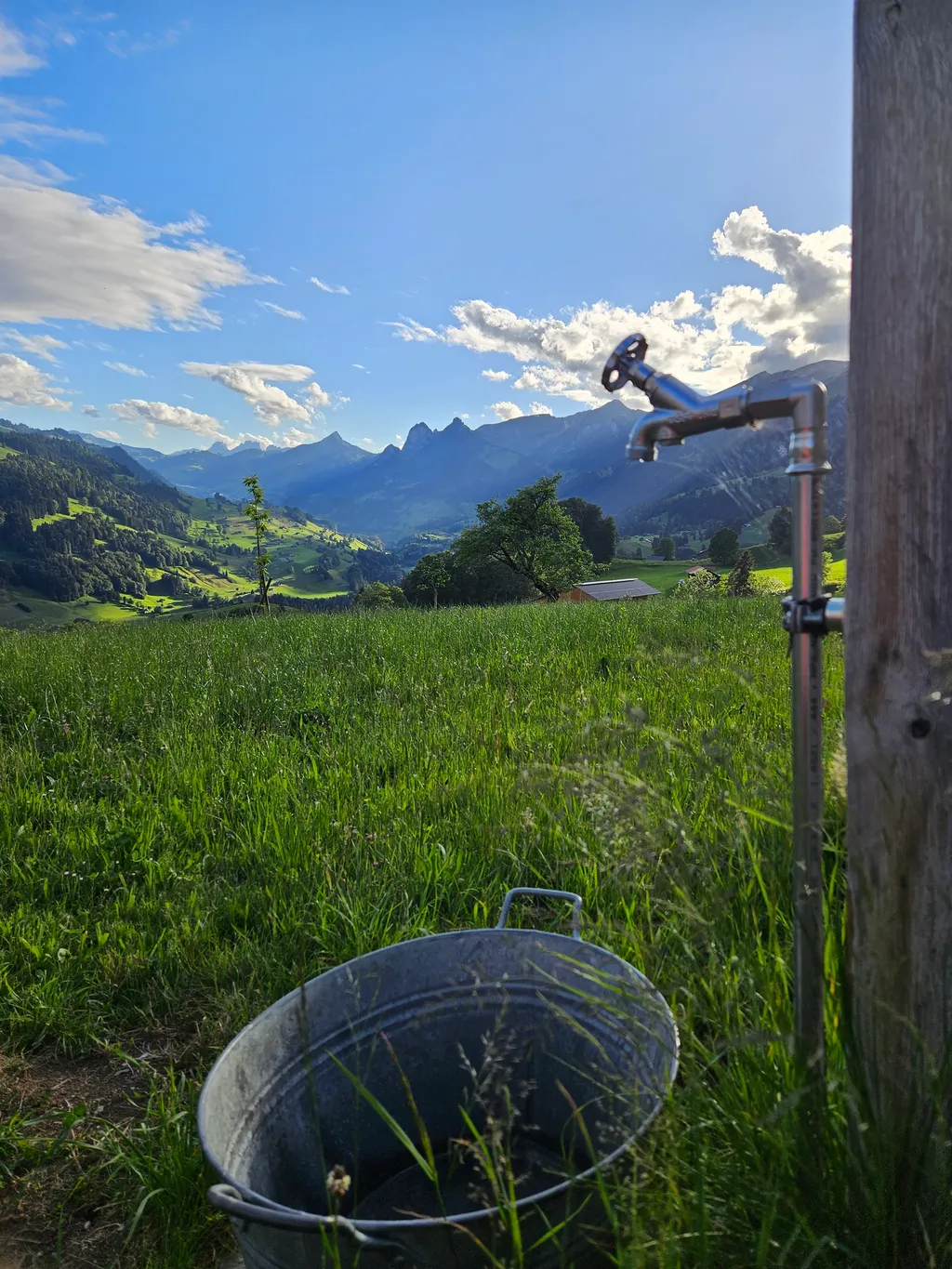 Bild von Katrin für den Spot 3368