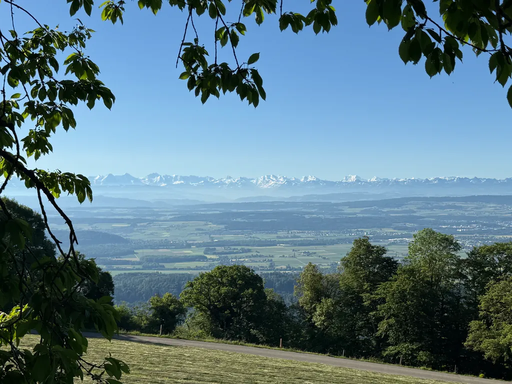 Bild von Thomas für den Spot 4961