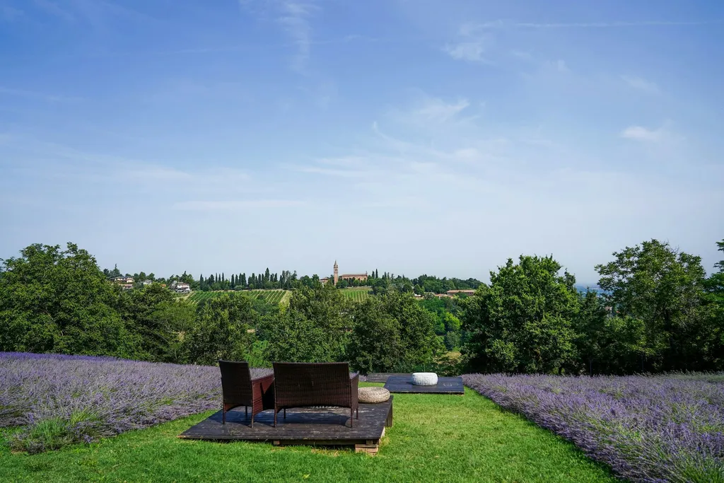 Glamping nella Lavanda
