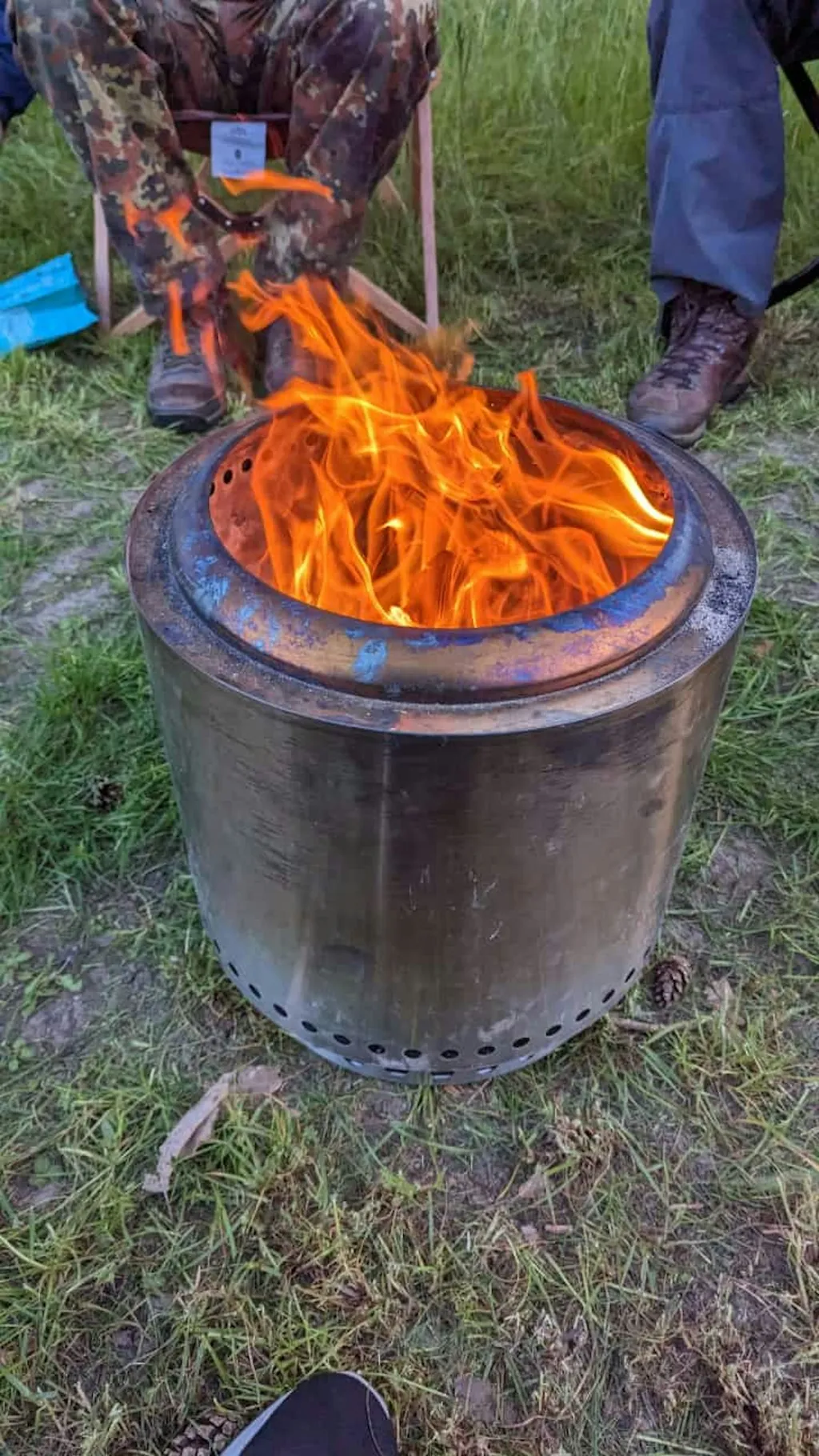 Wiese an der Apfelallee