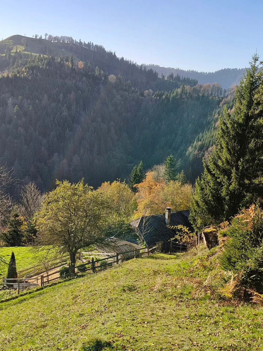 Alphütte Birbäumli