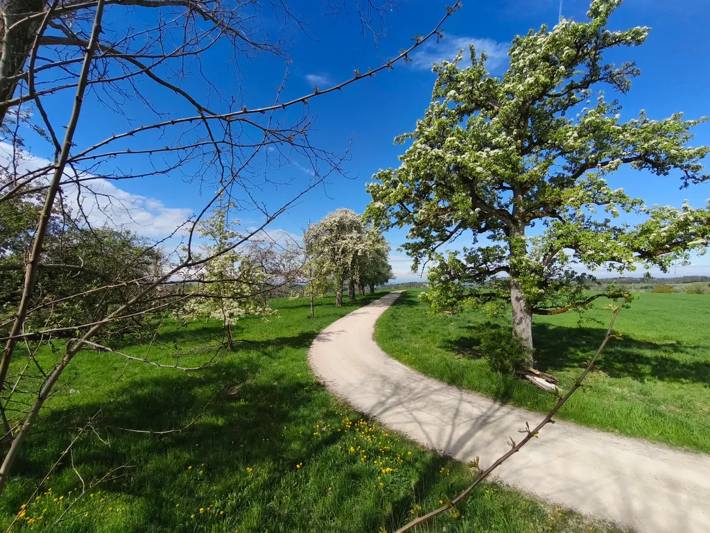 Hof Ferdinandslust - Zeltplätze mit Panoramablick