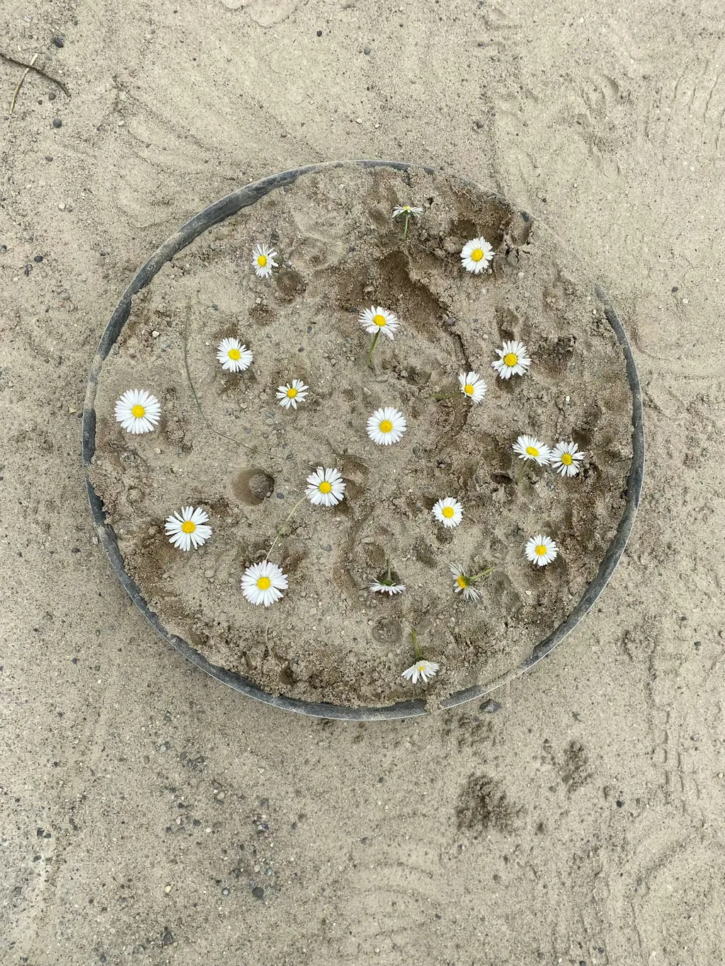 Profilbild von Rose-Marie