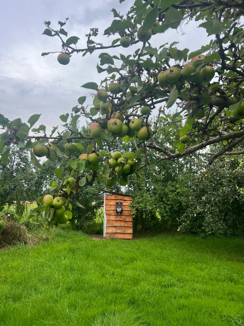 Biwakplatz & Zeltwiese🏕️