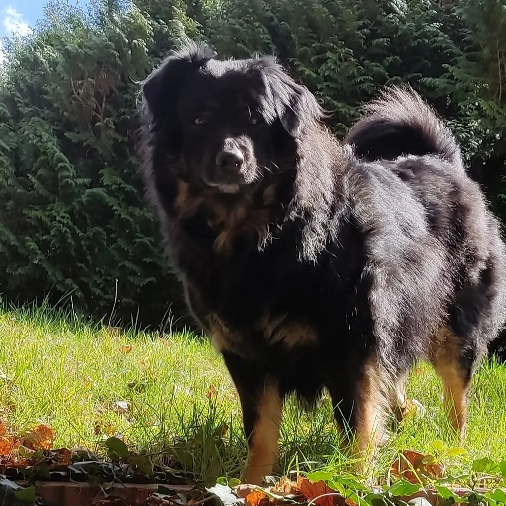 Profile picture of Roland