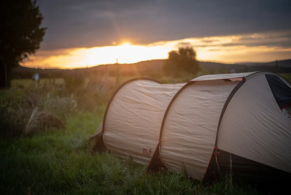 Blumenwiese am Ortsrand