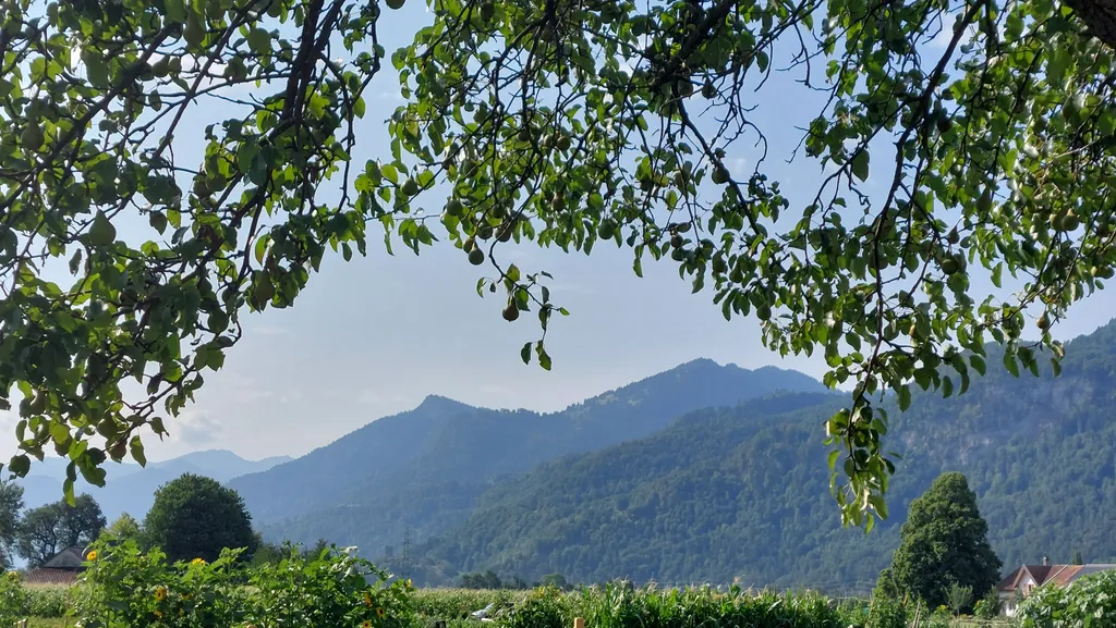 Stellplatz im Tal, mit Bergblick