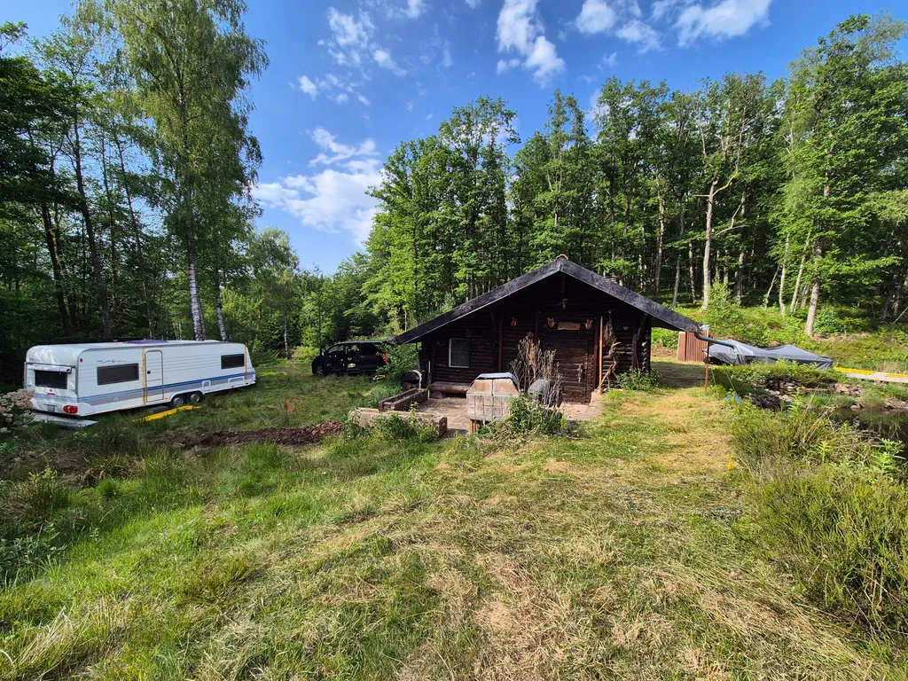 Camper Idylle am Waldsee