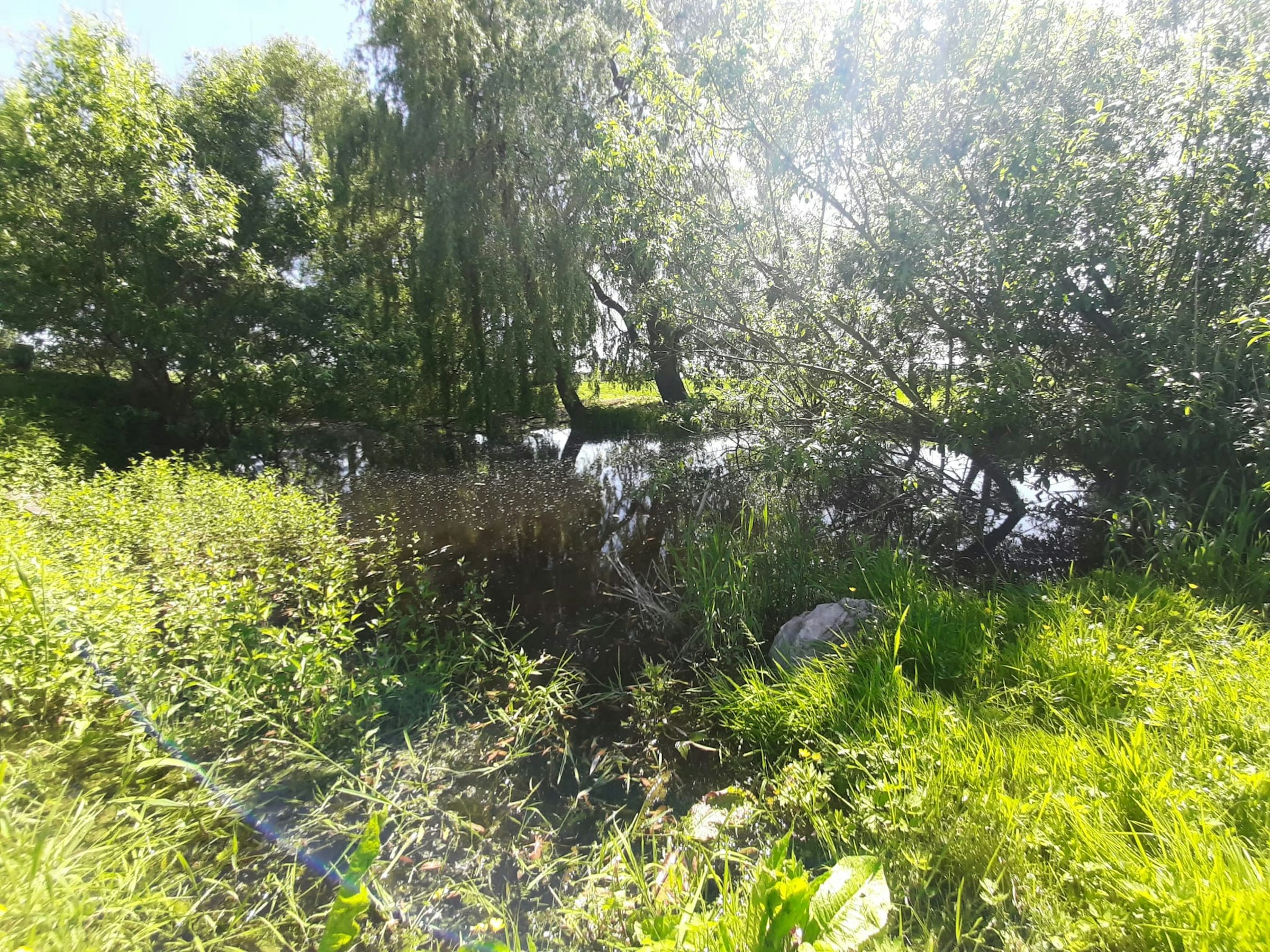 Campen auf dem Bauernhof am Teich