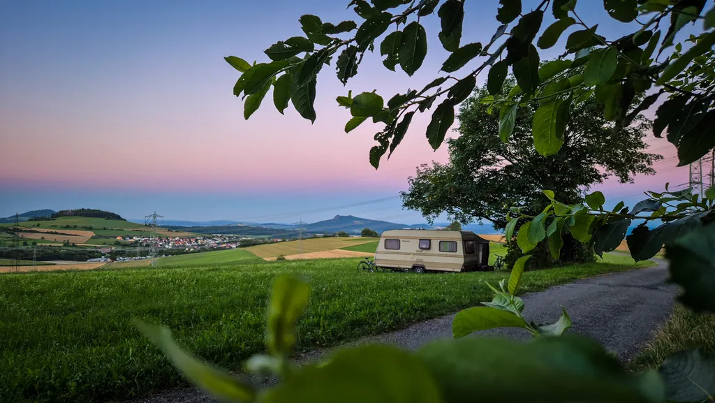 Verträumte Sommerabend-Idylle am Wald- und Wegesrand