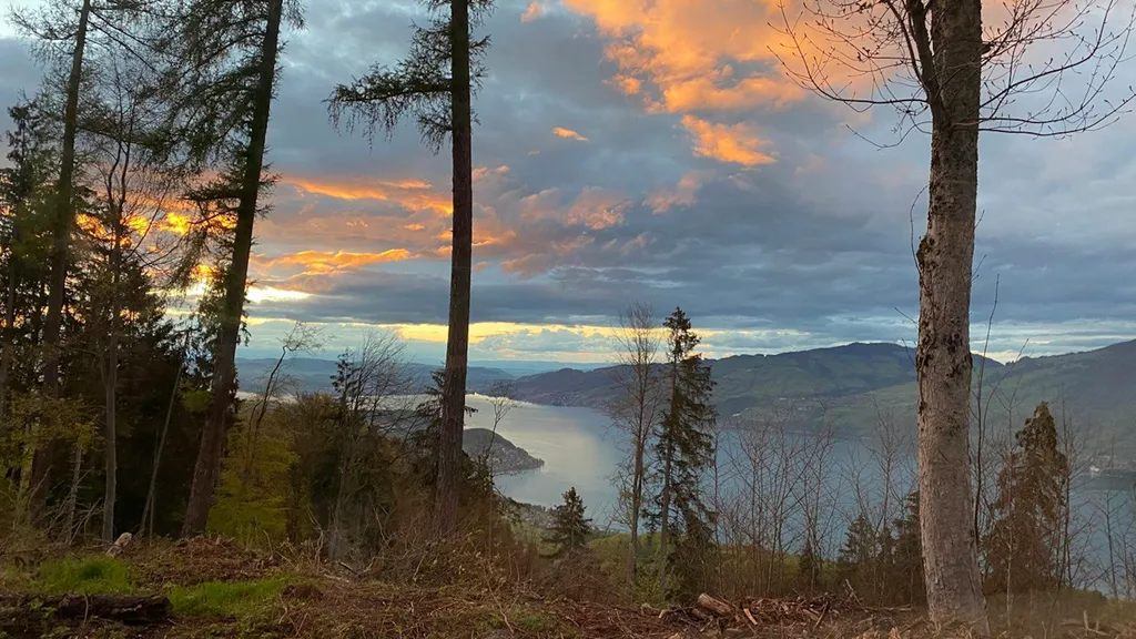 Auszeit-Hotel Z Aeschiried