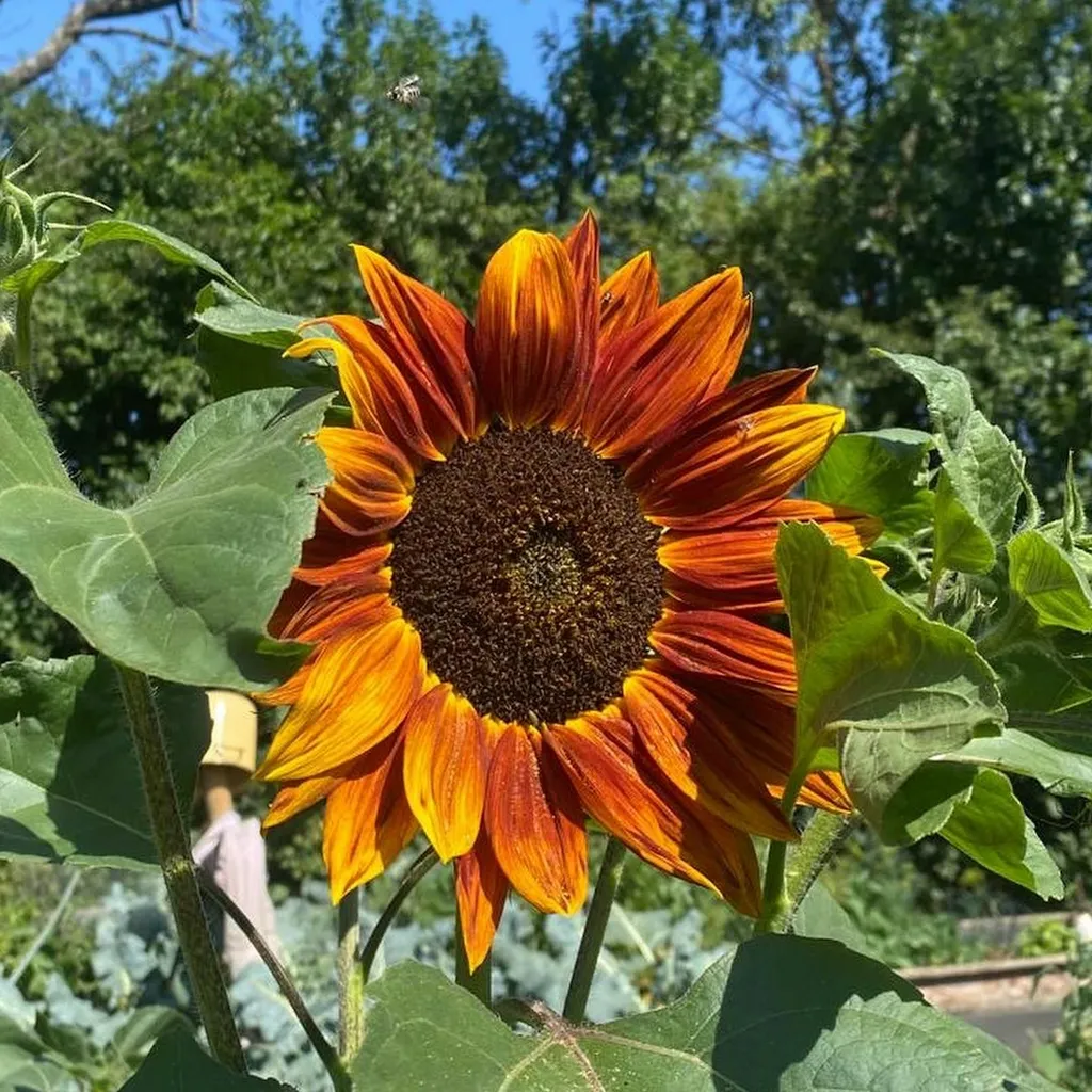 Manu und Claus avatar