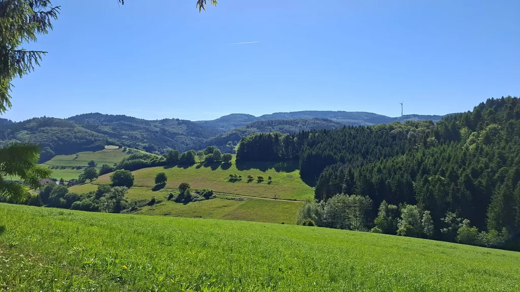 Die Ferne
