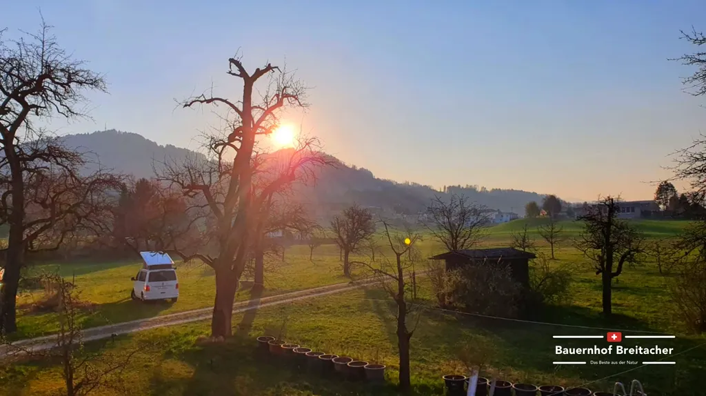 Idyllische Morgenstimmung umgeben von ganz viel beruhigender Natur. Unser Hof bietet einen genialen Blick auf die Voralpen sowie den Bachtel.