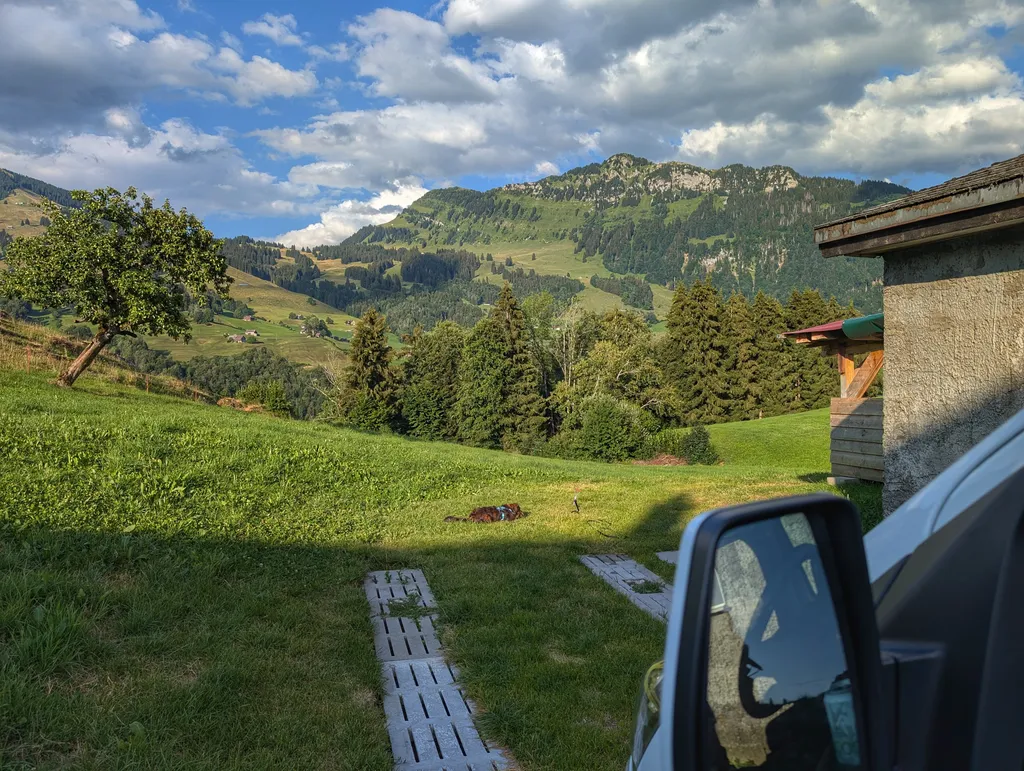 Bild von Willi für den Spot 4575
