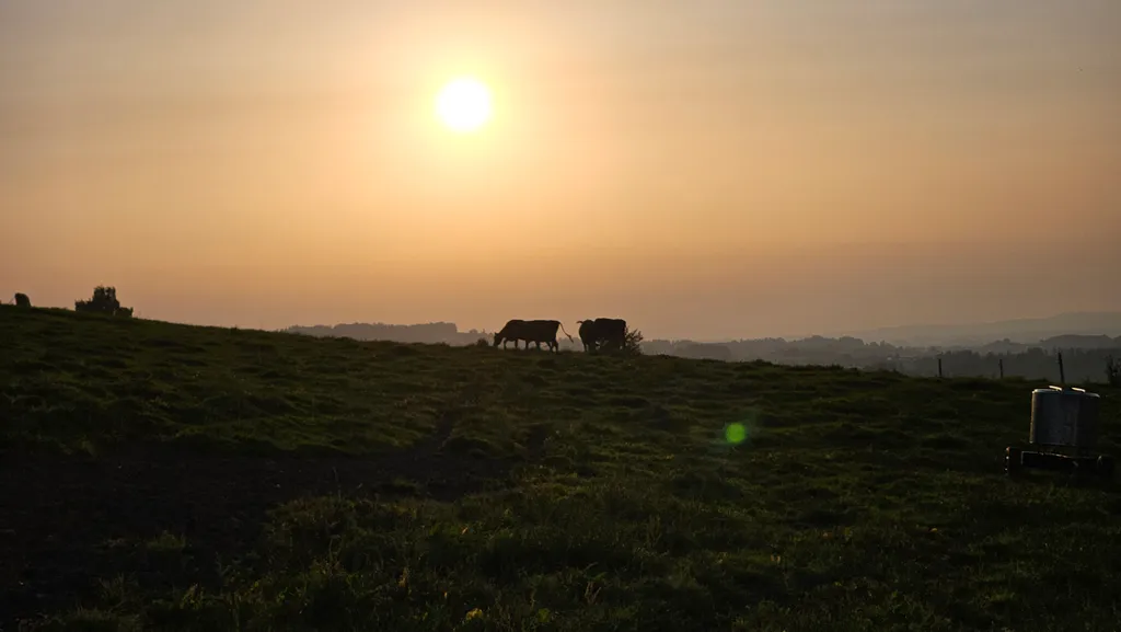 Bild von Carolin für den Spot 1352