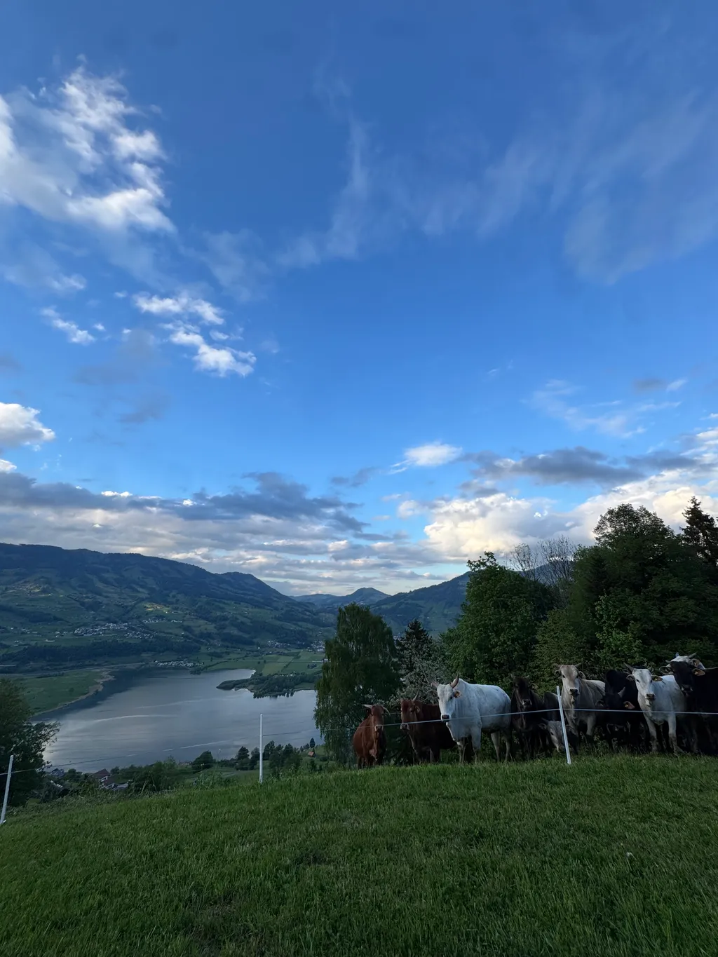 Bild von Shirley für den Spot 365
