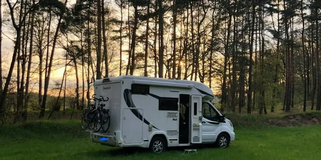 Grüne Wiese im Wald oder idyllischer Hofstellplatz
