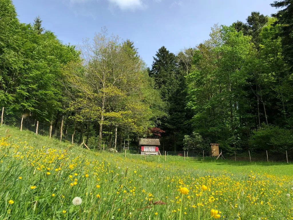 Campieren beim Uhu-Hüsli