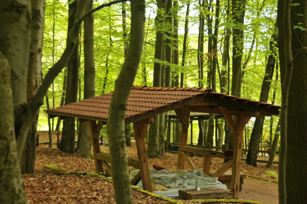 Wald-Shelter im Buchengrün