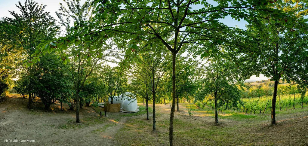 Bubble Room in vigneto a Corinaldo