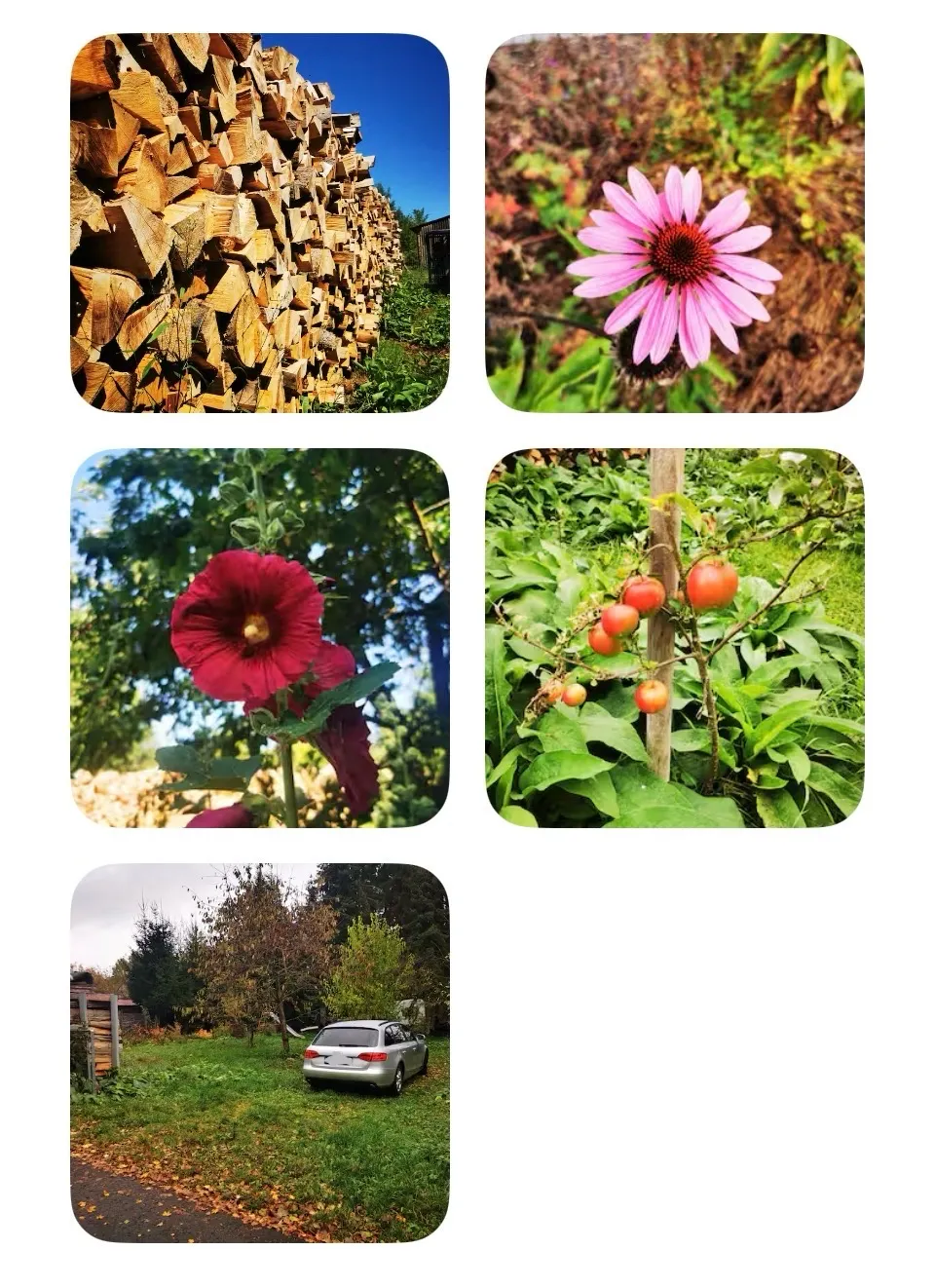 Ruhiger Ruhiger Camping-Spot in der Natur