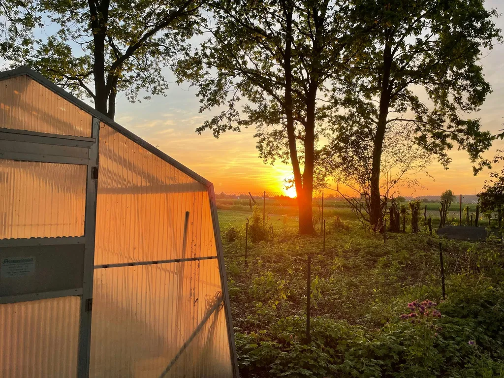 Idyllische Wiese nahe Altmühlsee